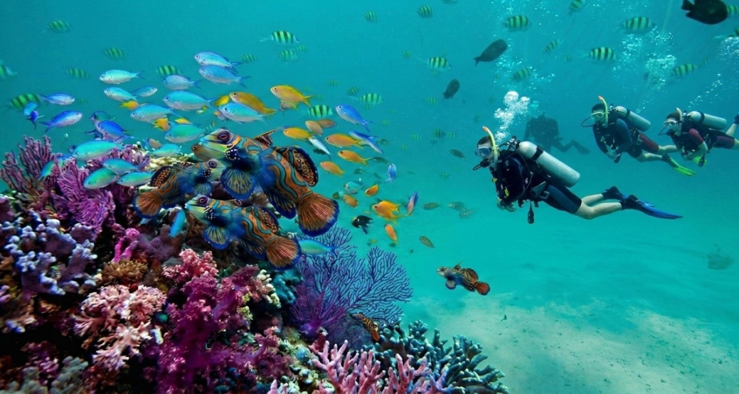 North Bay Underwater Activity