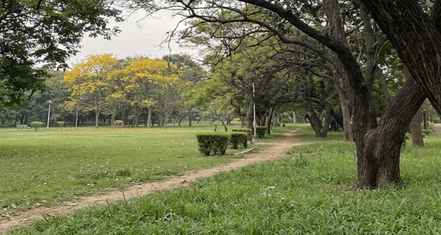 Pusa Hill Forest