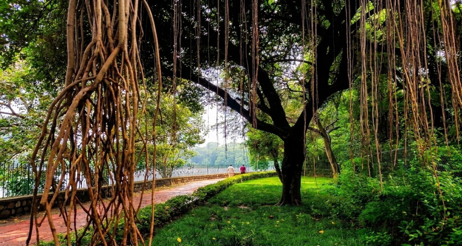 Hauz Khas Forest