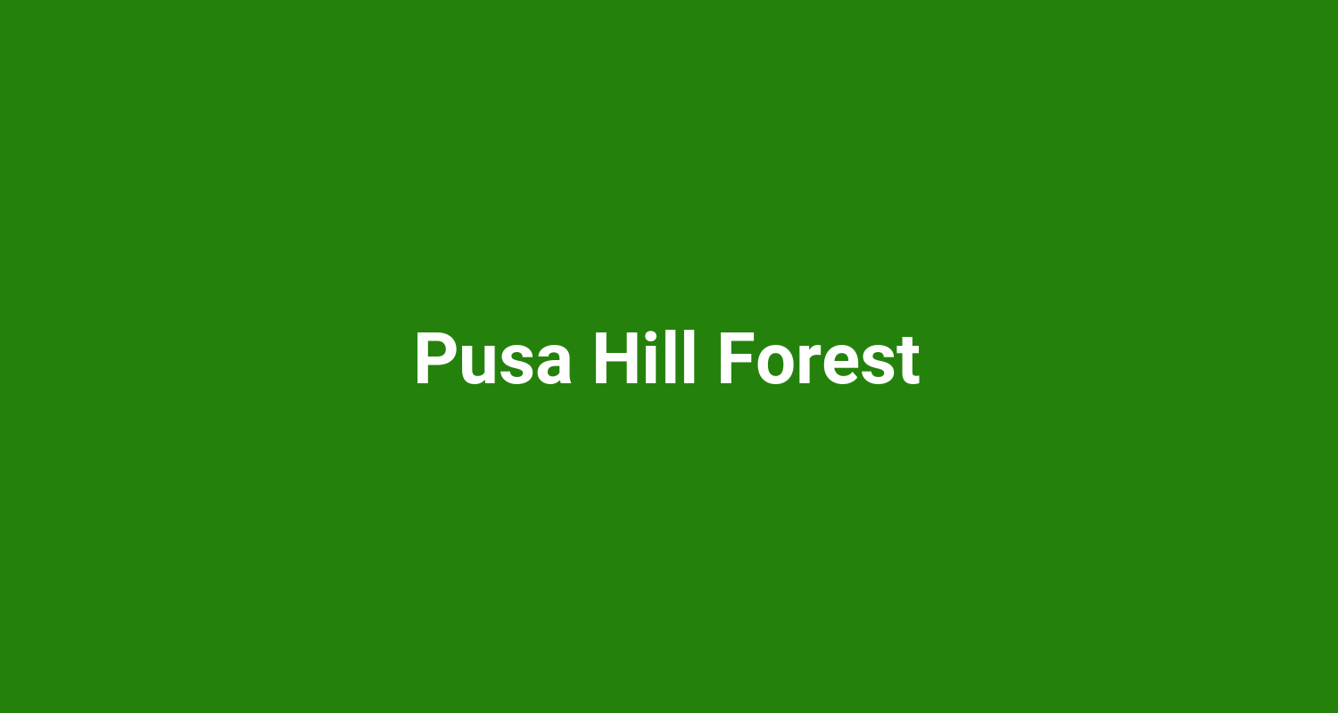 Pusa Hill Forest