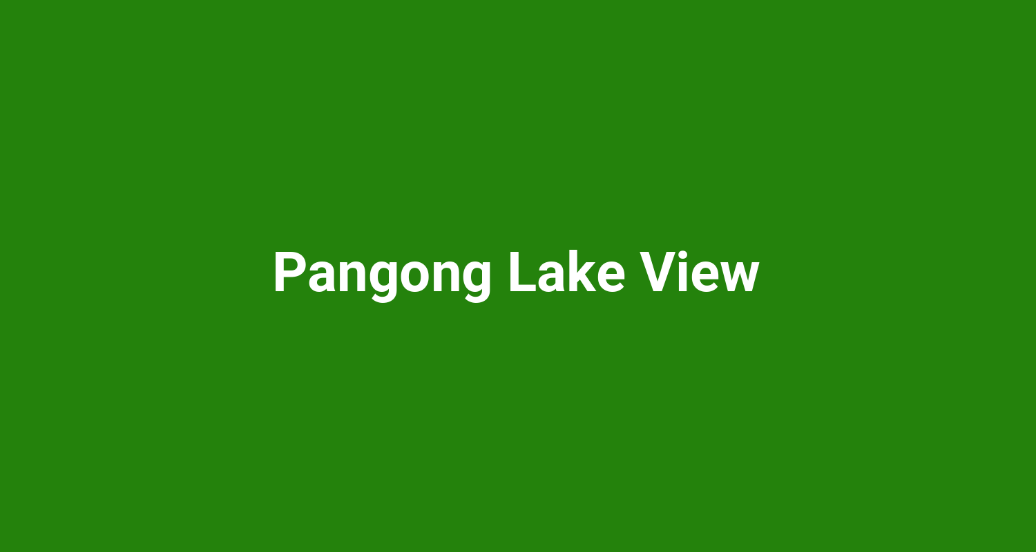 Pangong Lake View