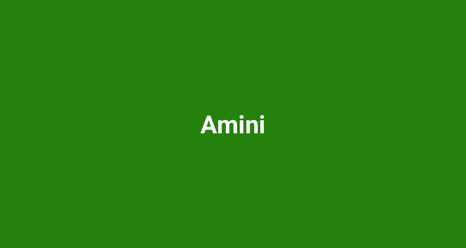 Amini