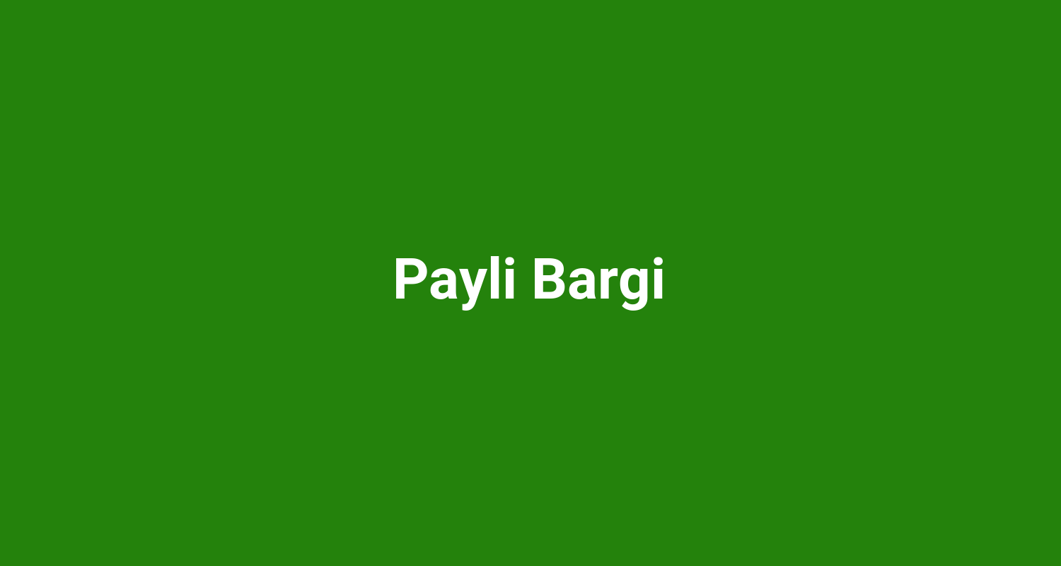 Payli Bargi