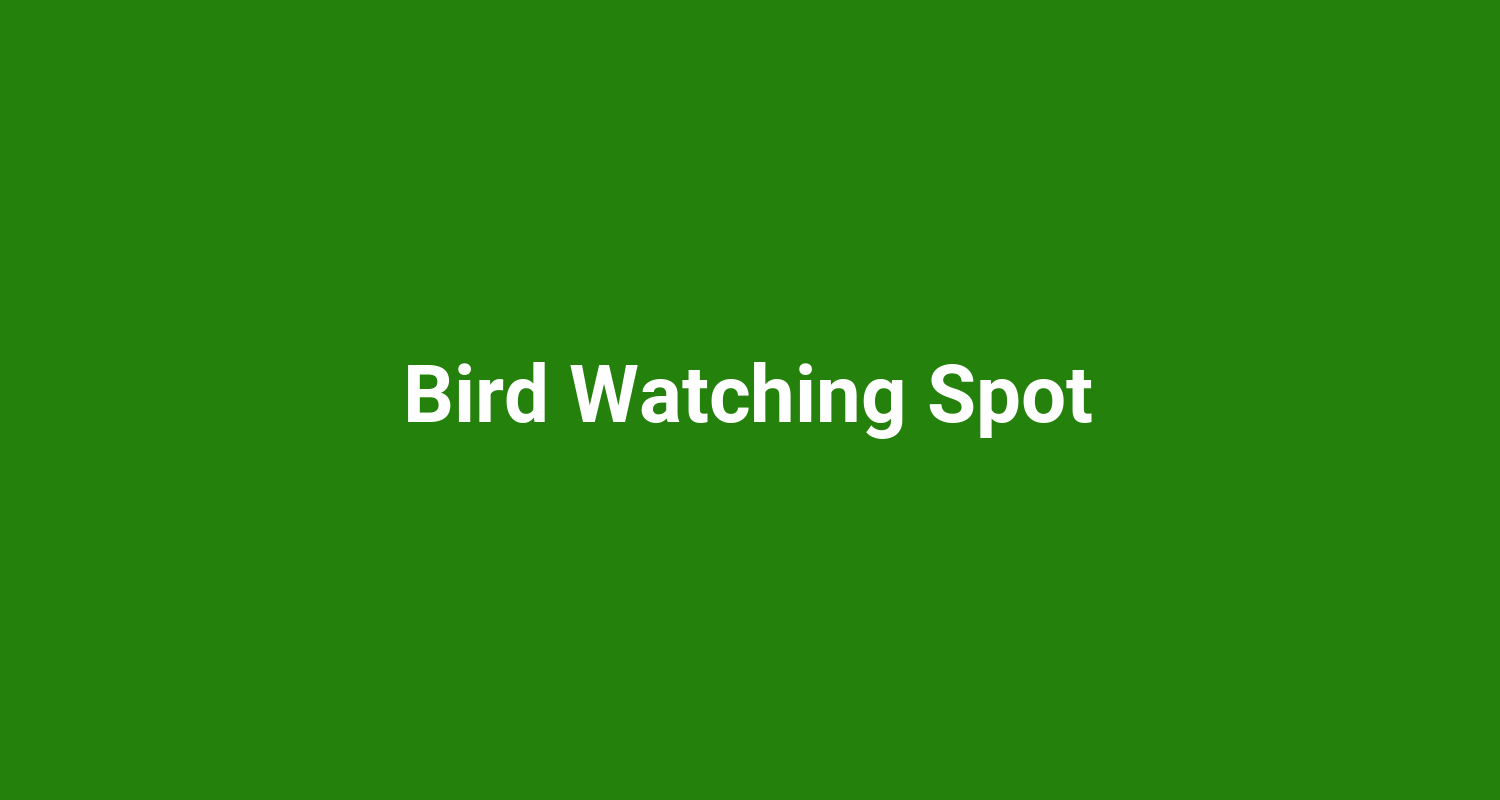 Bird Watching Spot