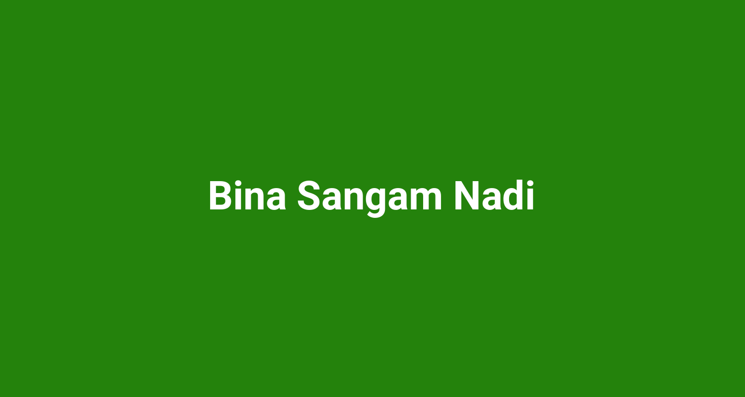 Bina Sangam Nadi