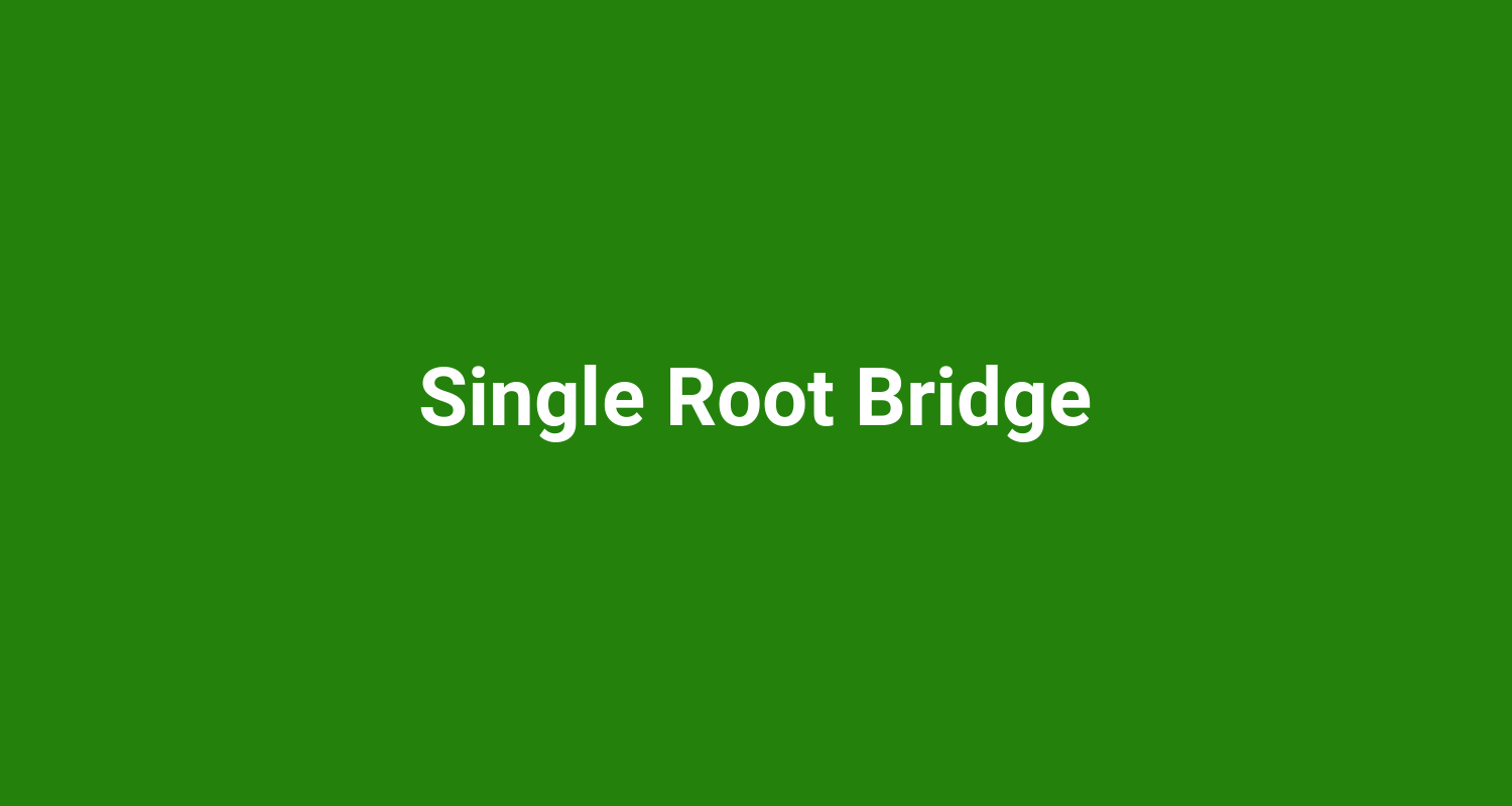 Single Root Bridge