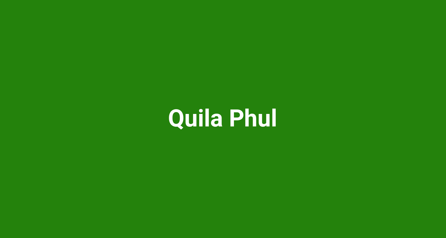 Quila Phul