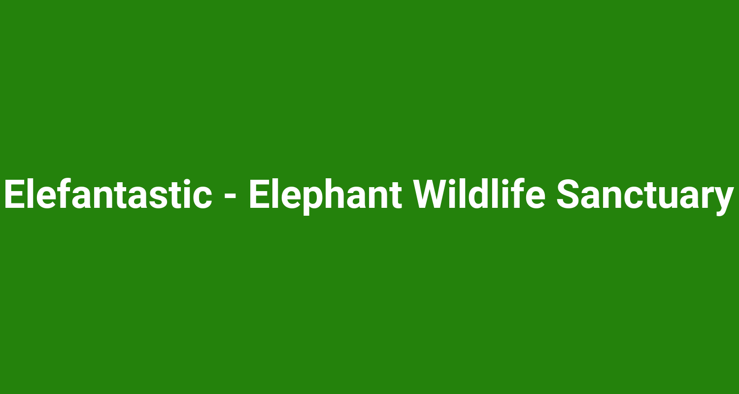 Elefantastic  Elephant Wildlife Sanctuary