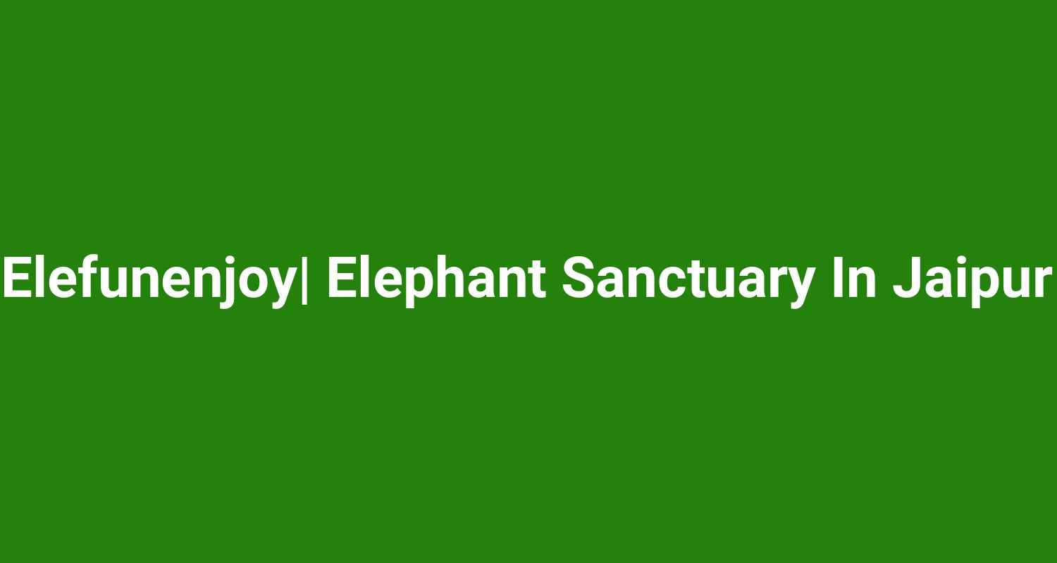 Elefunenjoy Elephant Sanctuary In Jaipur