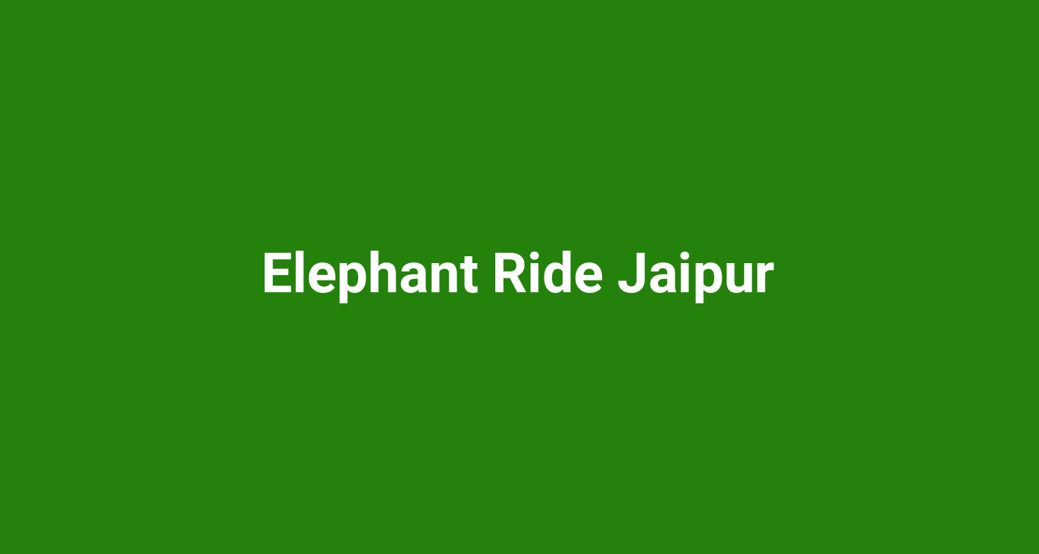 Elephant Ride Jaipur
