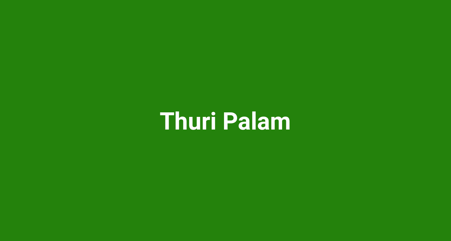 Thuri Palam