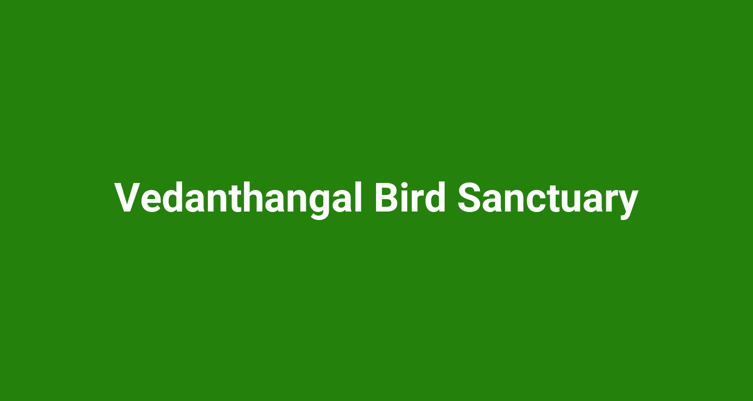 Vedanthangal Bird Sanctuary