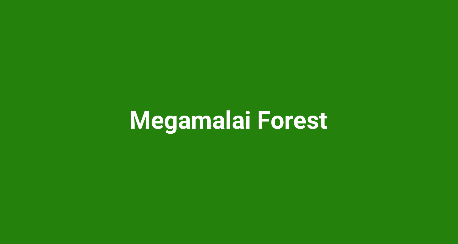 Megamalai Forest