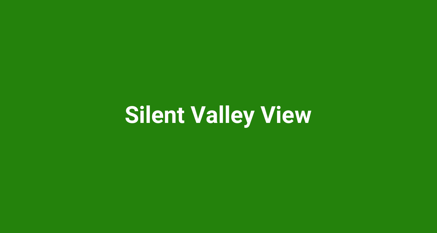 Silent Valley View