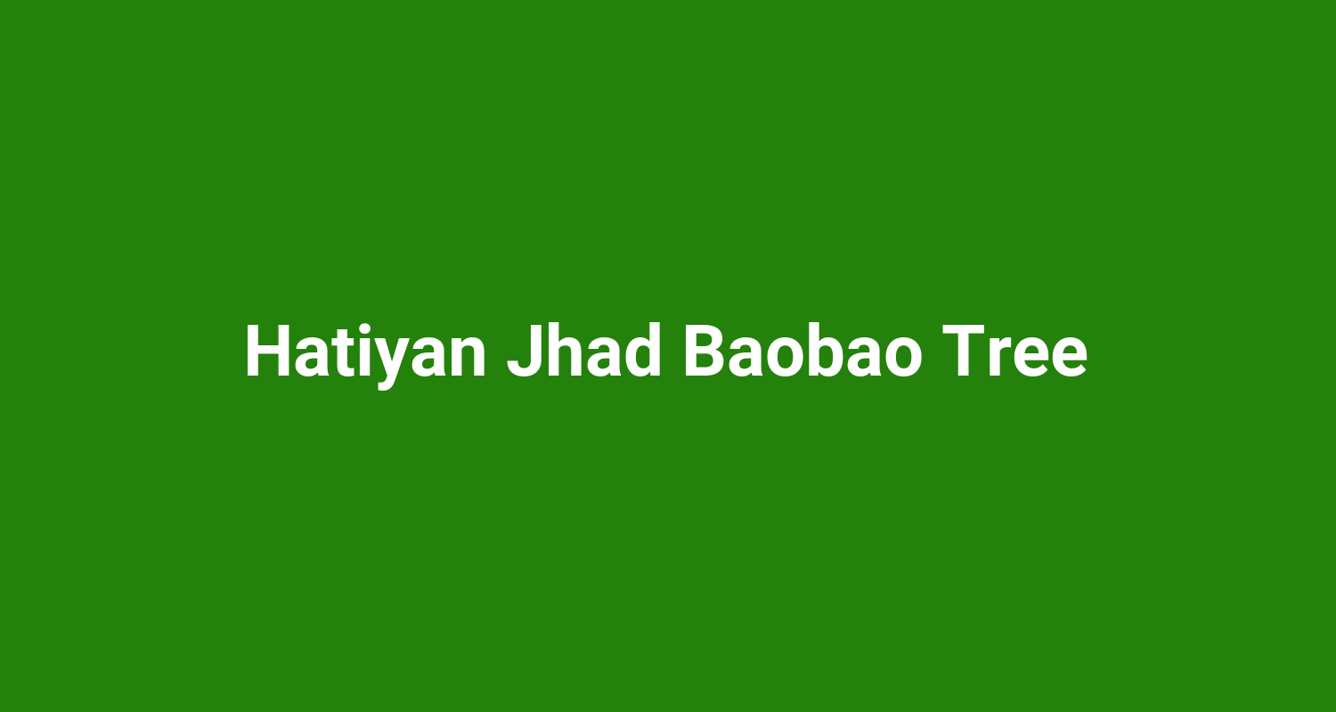 Hatiyan Jhad Baobao Tree