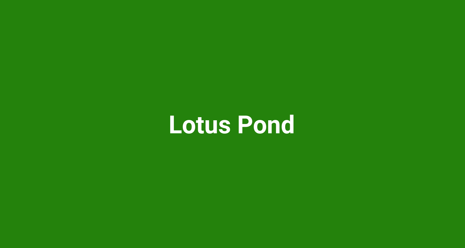 Lotus Pond