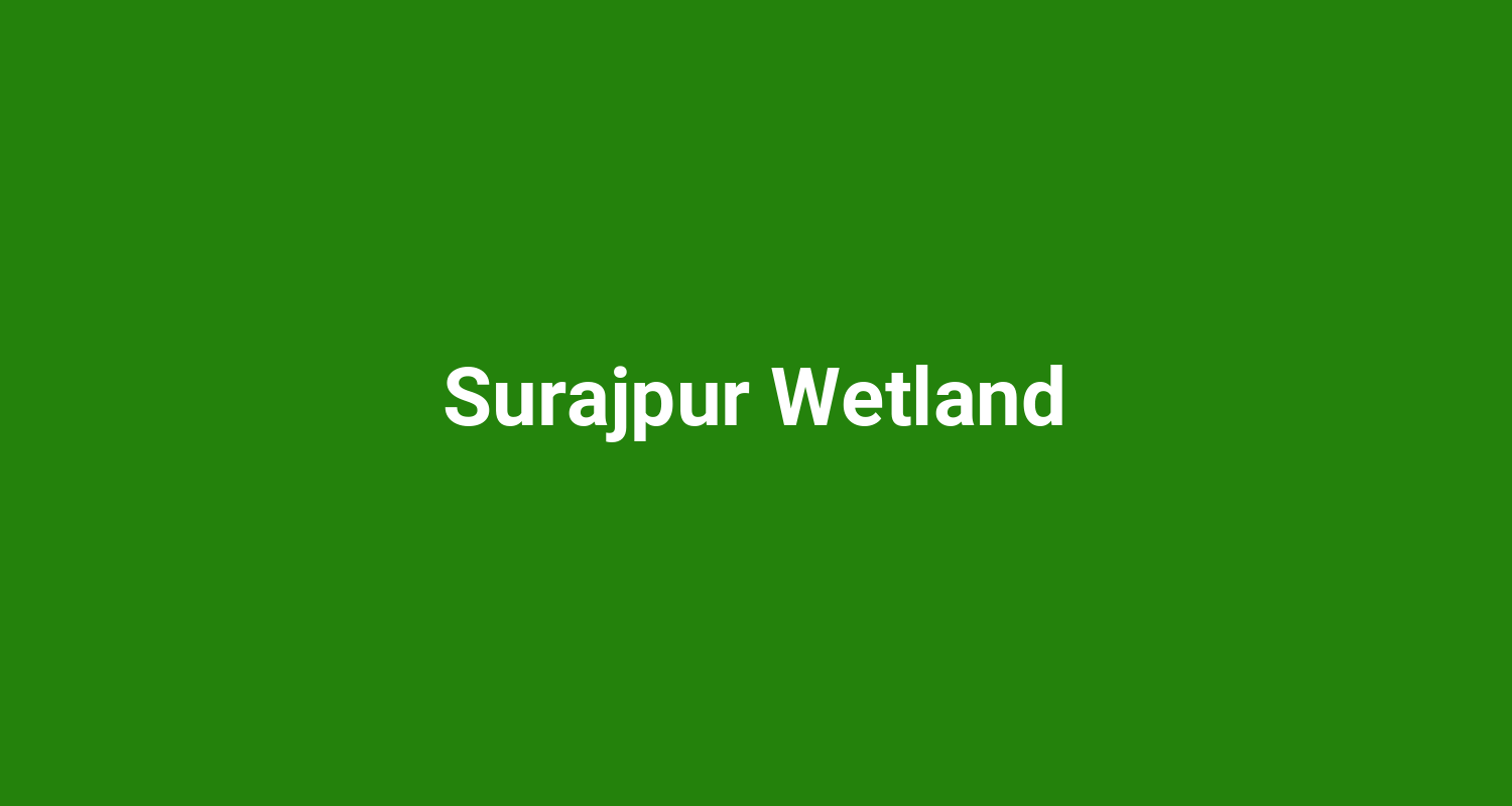 Surajpur Wetland
