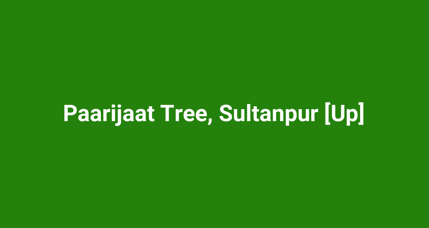 Paarijaat Tree Sultanpur Up