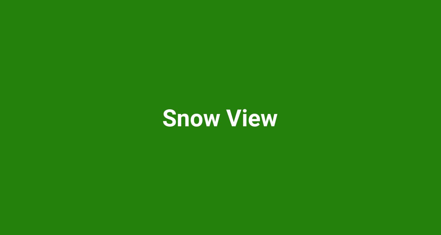 Snow View