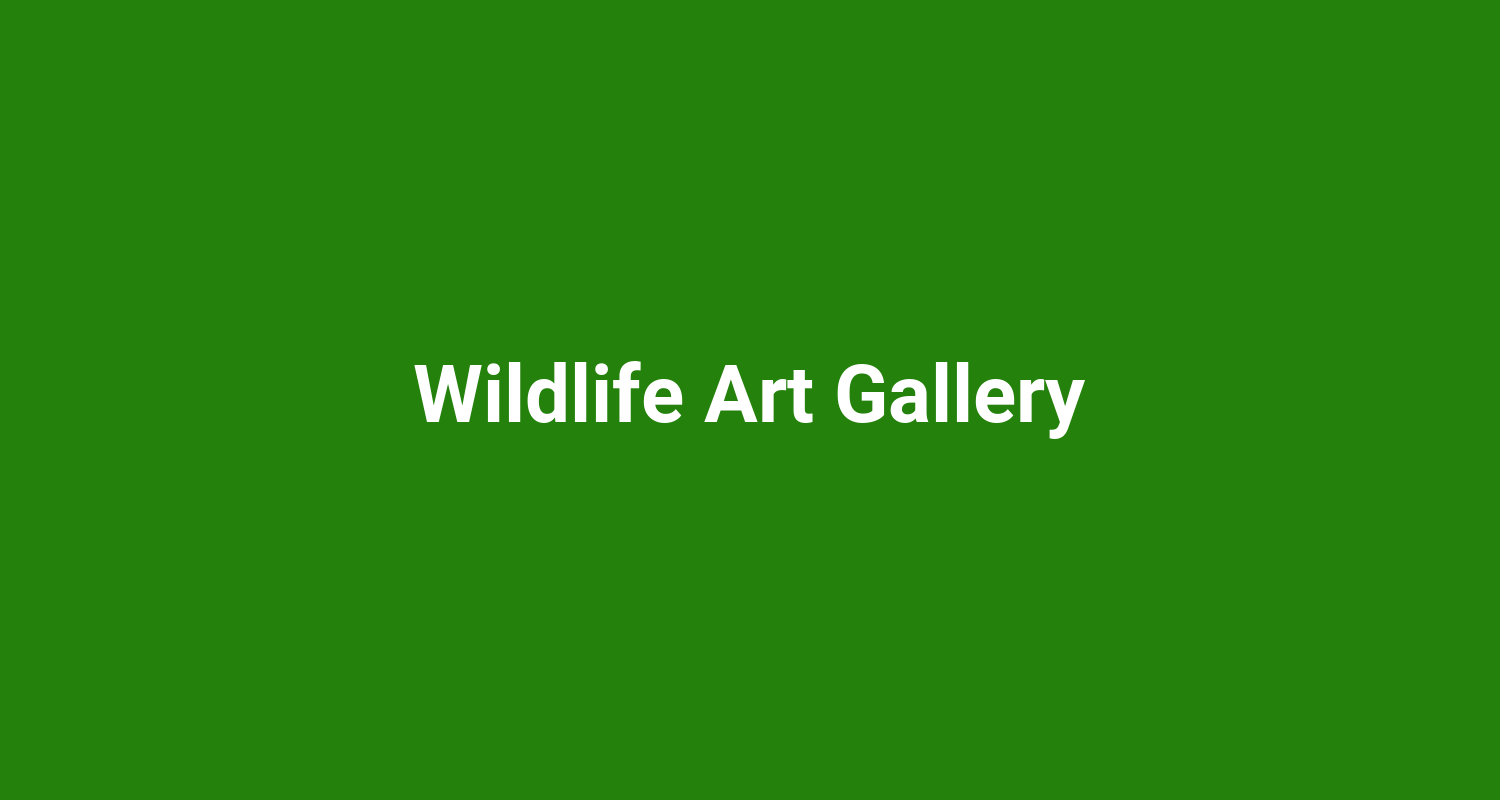 Wildlife Art Gallery