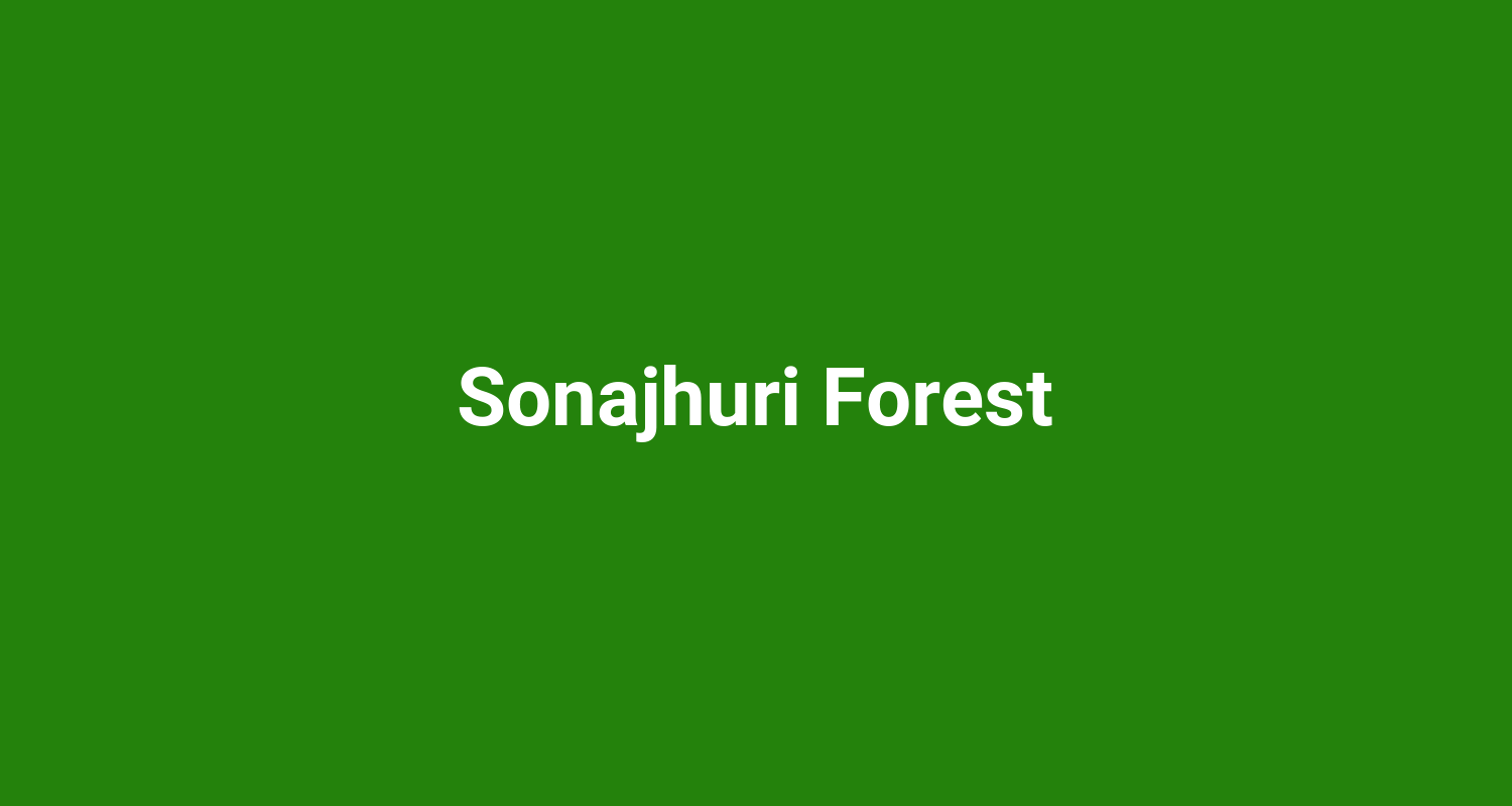 Sonajhuri Forest