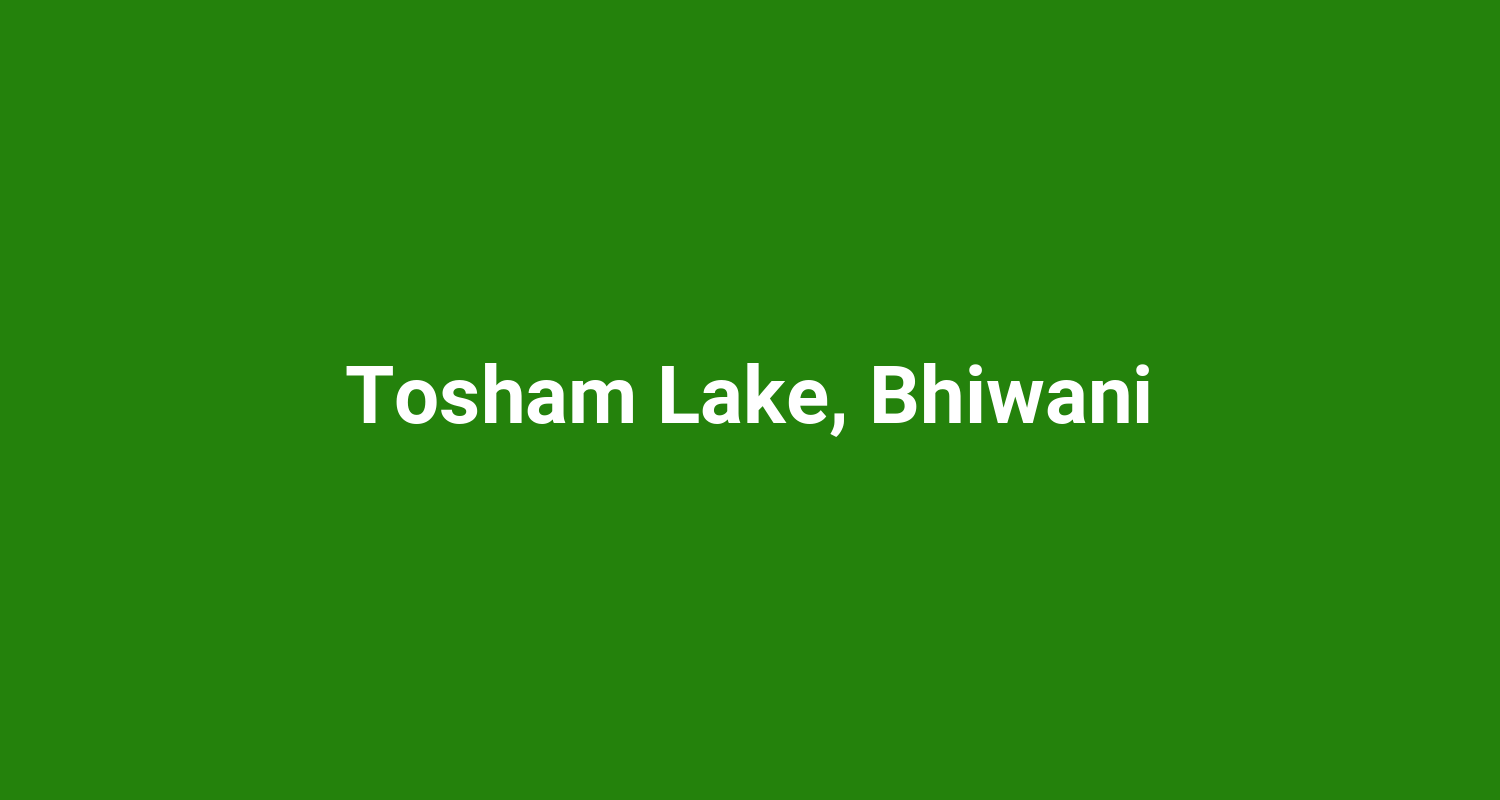 Tosham Lake, Bhiwani