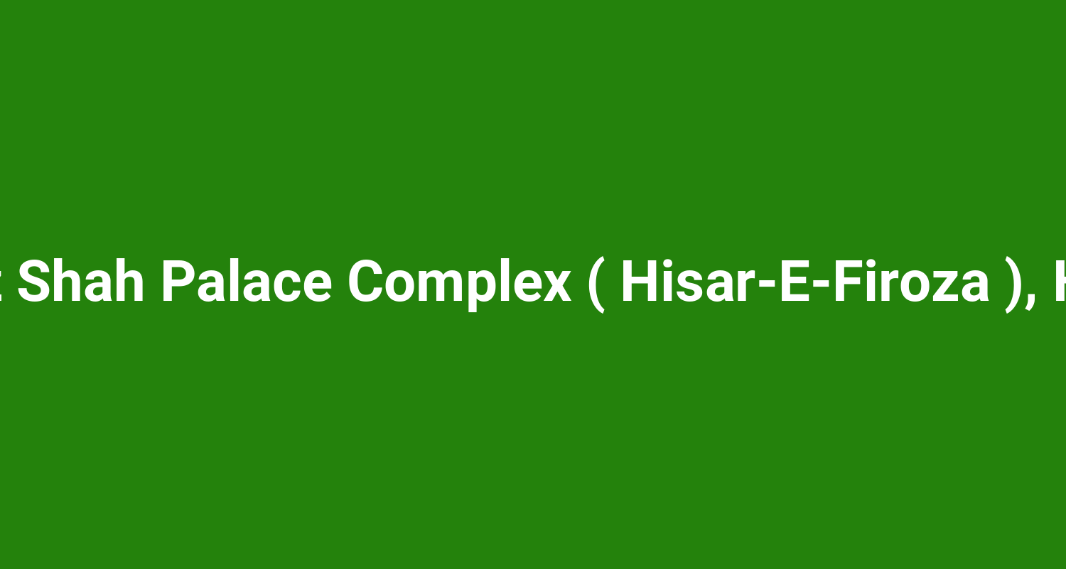 Firoz Shah Palace Complex ( Hisar‑E‑Firoza ), Hisar