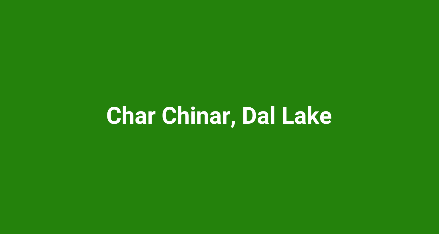 Char Chinar, Dal Lake