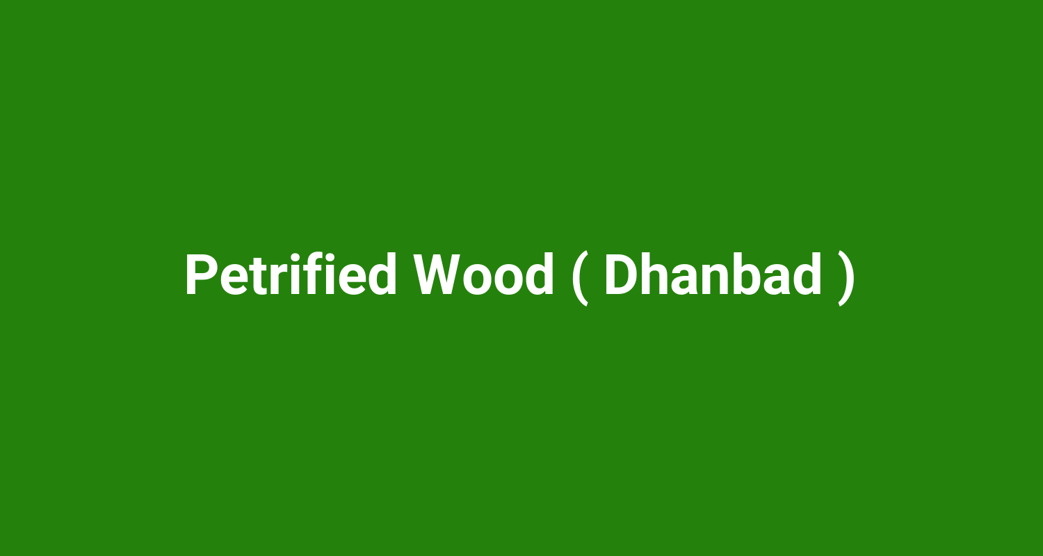 Petrified Wood ( Dhanbad )