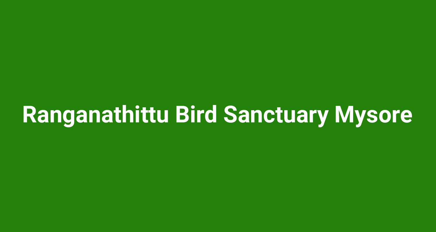Ranganathittu Bird Sanctuary Mysore