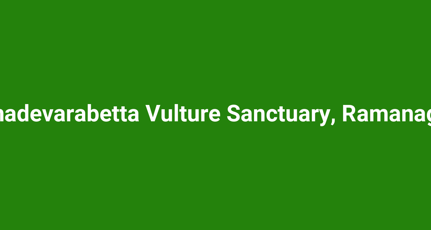 Ramadevarabetta Vulture Sanctuary, Ramanagara