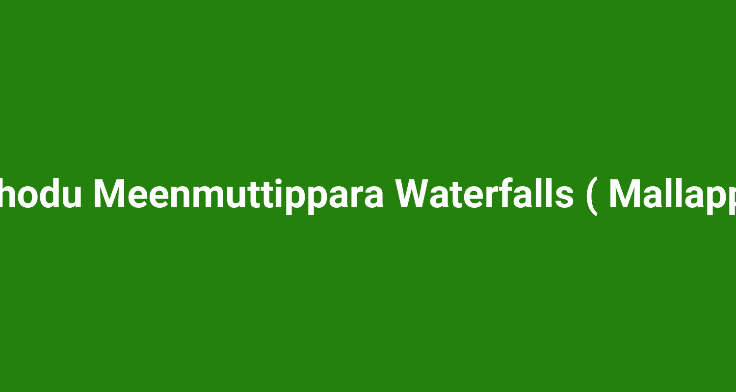 Parathodu Meenmuttippara Waterfalls ( Mallappally )