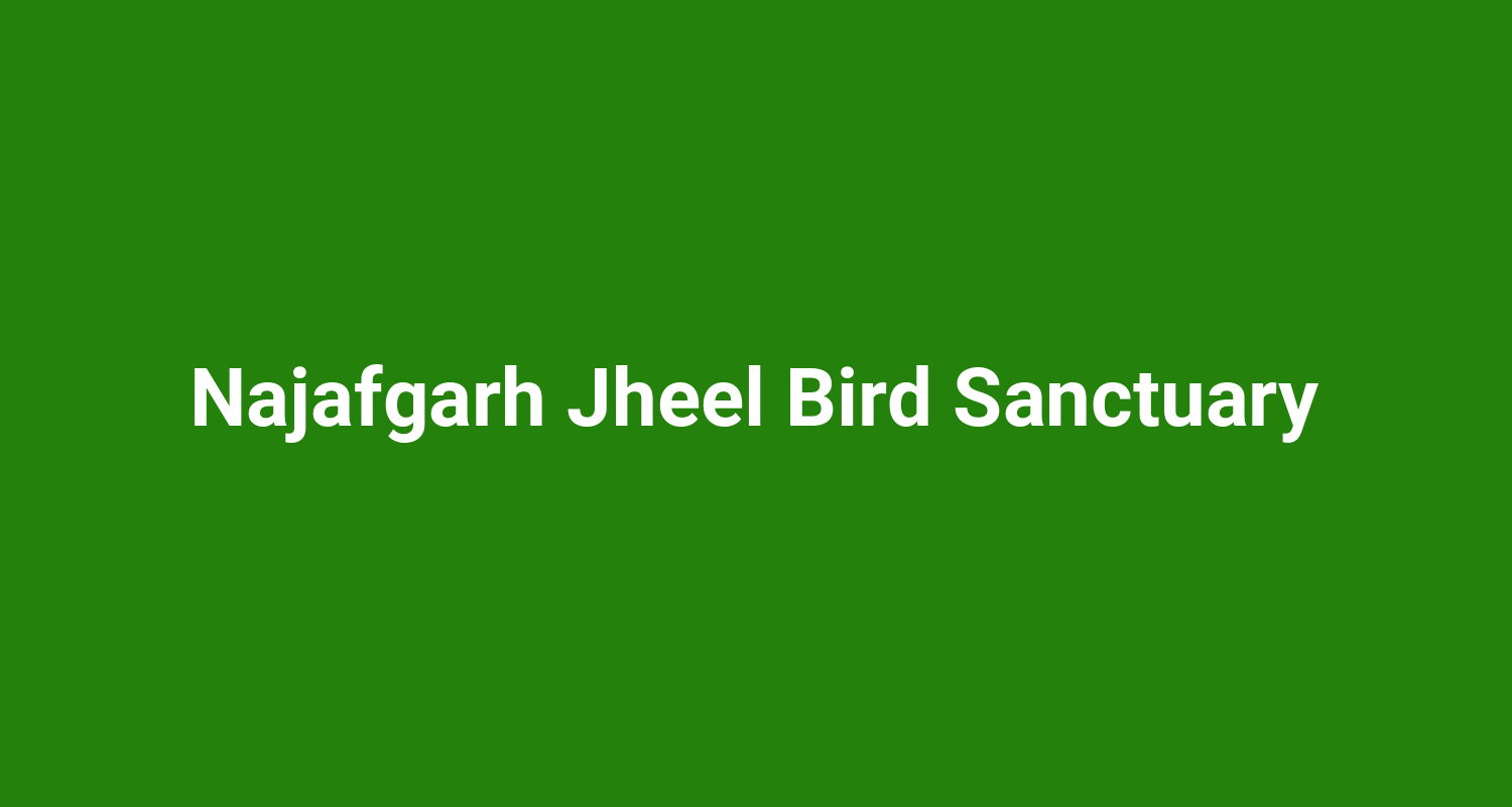 Najafgarh Jheel Bird Sanctuary