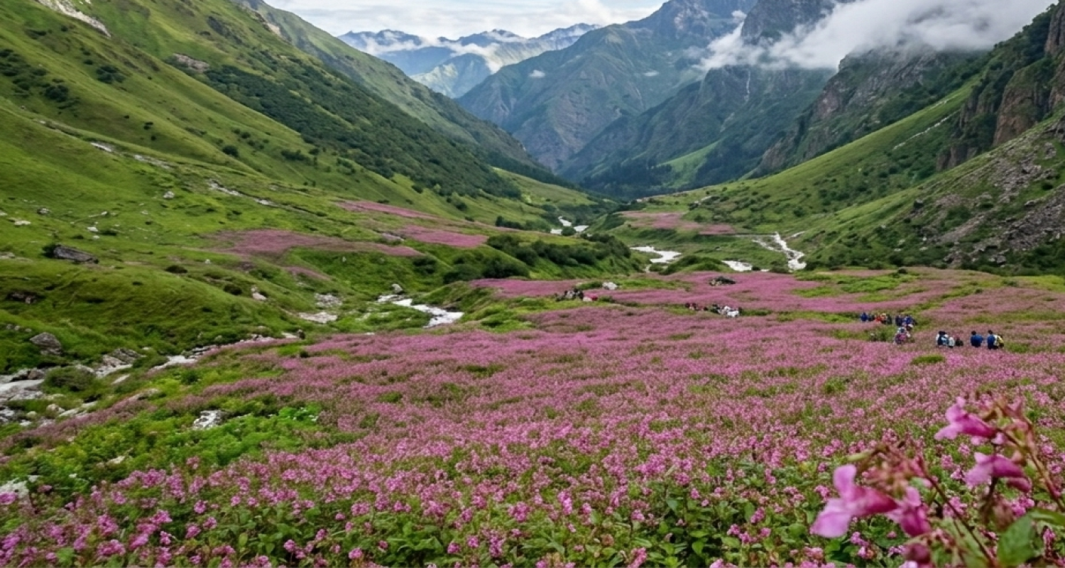 Nanda Devi National Park