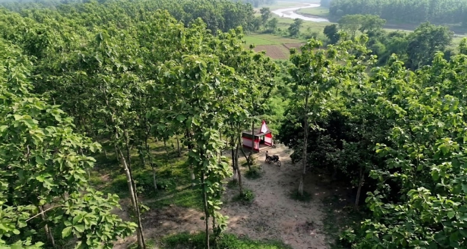 Bahadurpur Forest Reserve
