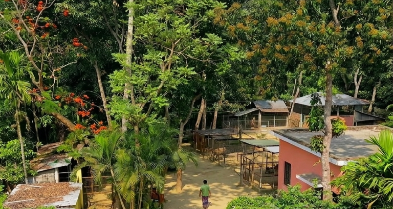 Shitesh BabuS Zoo
